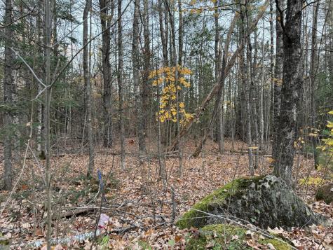 Lot # 90 Wing Road Dexter ME 04930