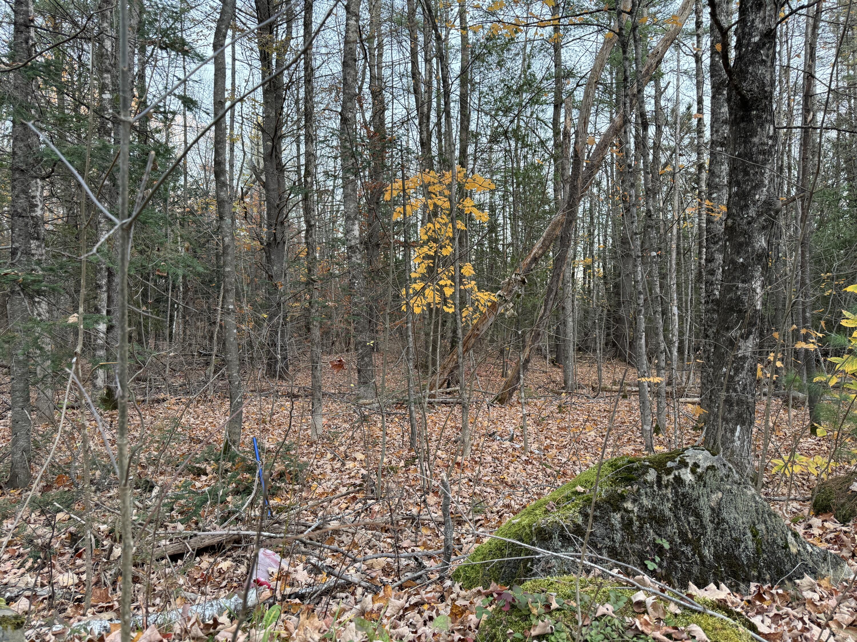 Lot # 90 Wing Road Dexter ME 04930