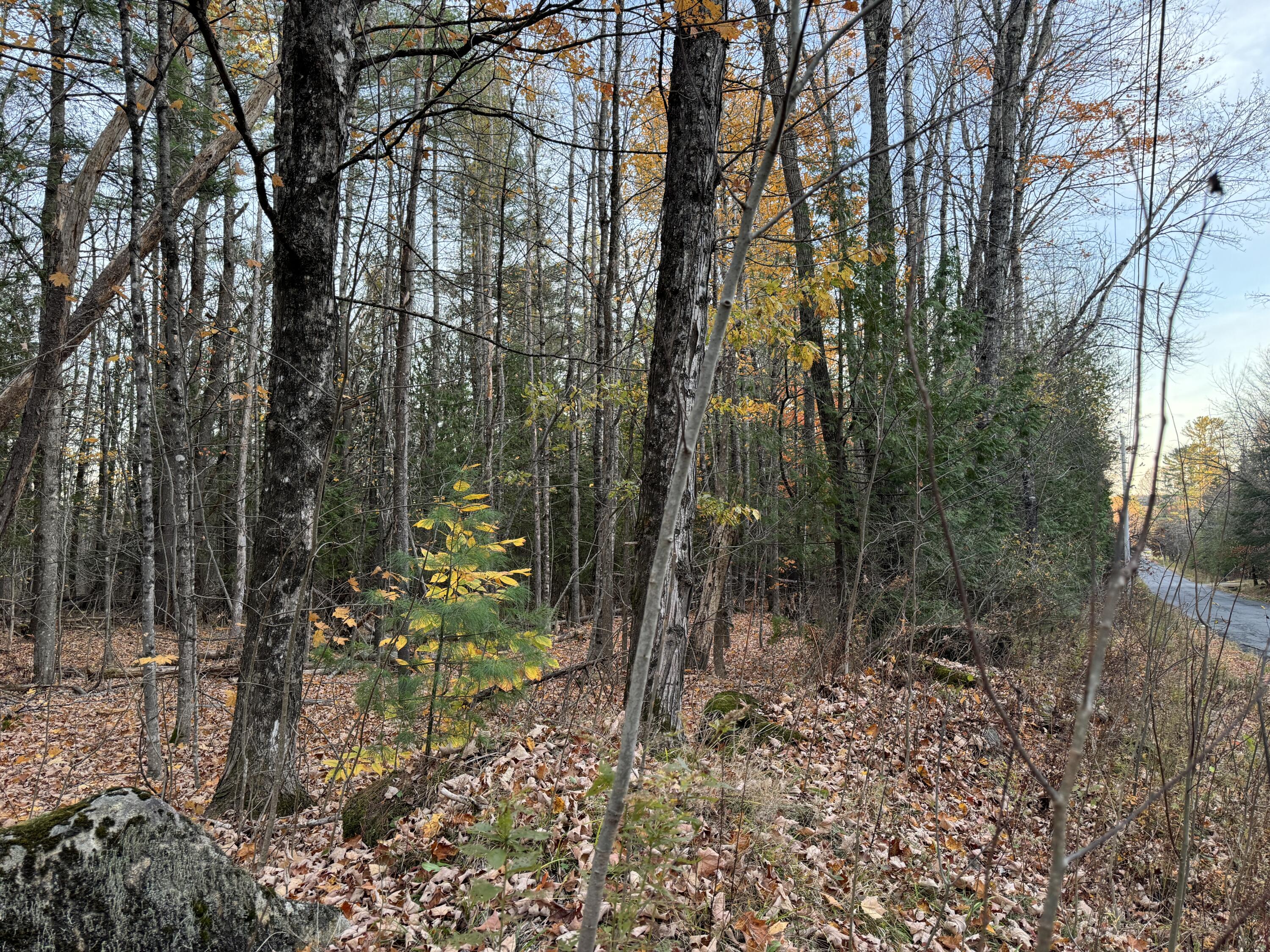 Lot # 90 Wing Road Dexter ME 04930