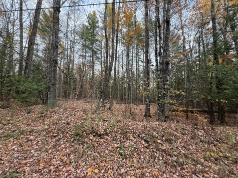 Lot # 90 Wing Road Dexter ME 04930