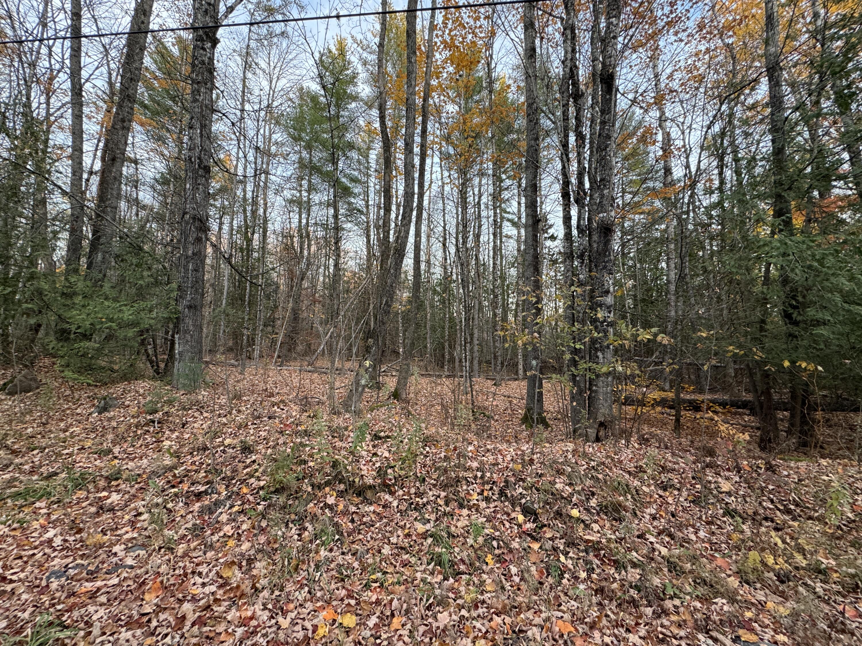 Lot # 90 Wing Road Dexter ME 04930