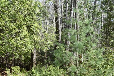 Lot 49 Heron Lane Harpswell ME 04079