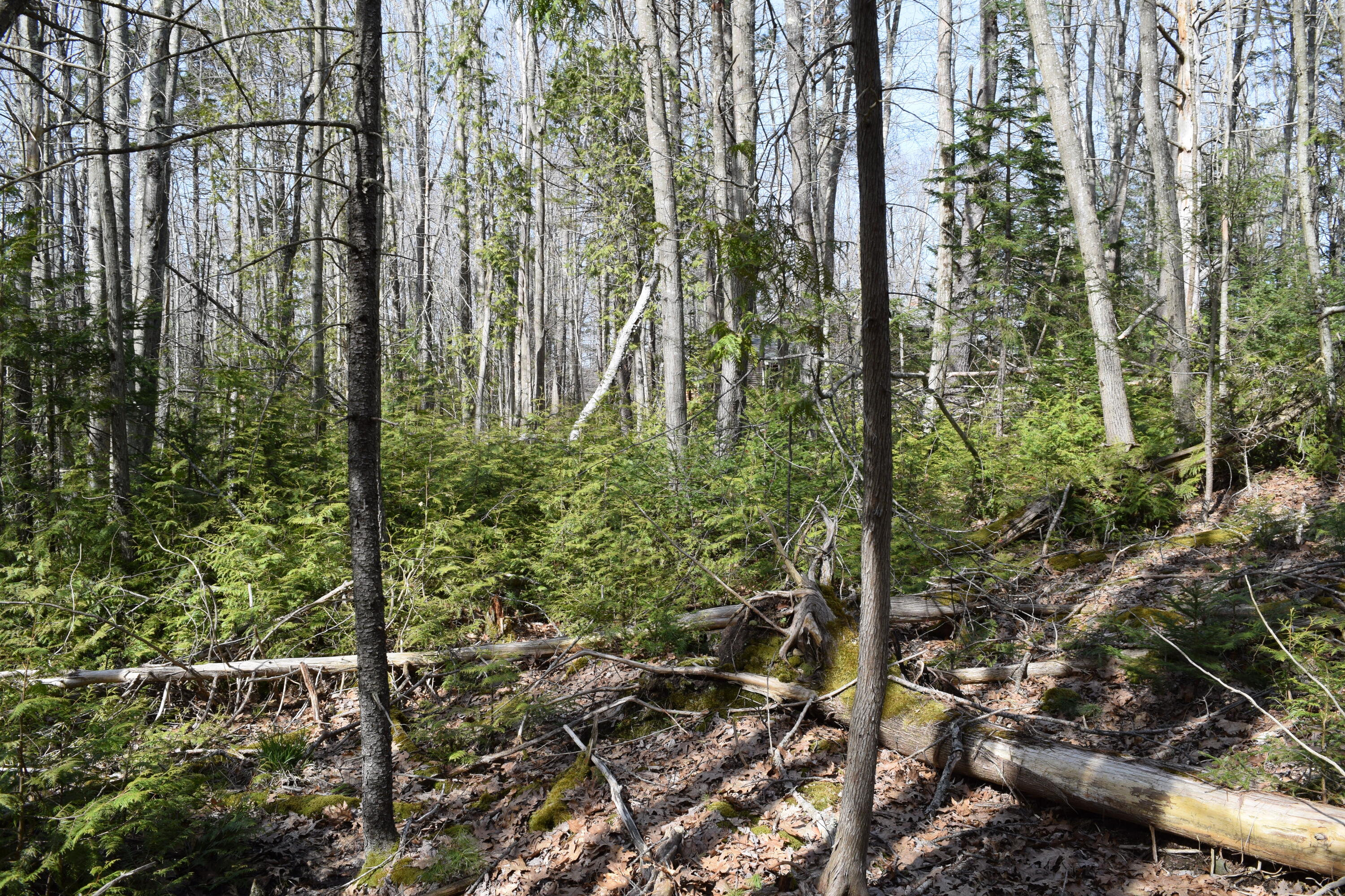 Lot 49 Heron Lane Harpswell ME 04079