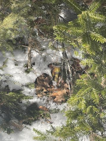 Lot 8 Forest Avenue Machias ME 04654