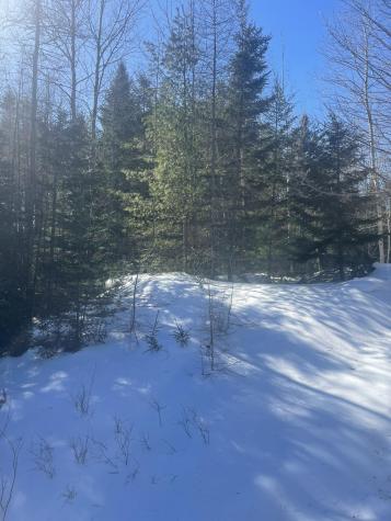 Lot 8 Forest Avenue Machias ME 04654