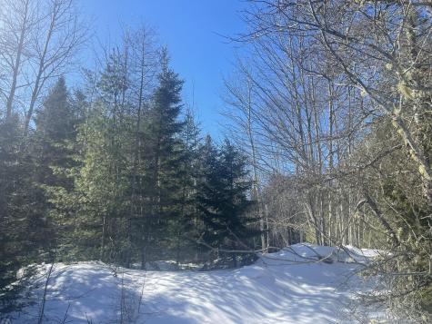 Lot 8 Forest Avenue Machias ME 04654