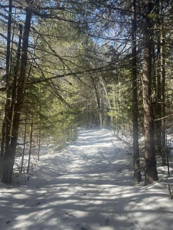 Lot 8 Forest Avenue Machias ME 04654