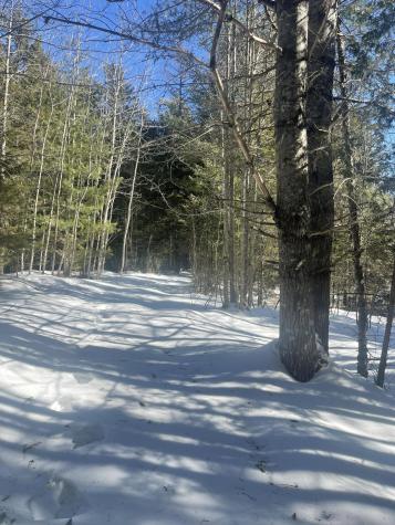 Lot 8 Forest Avenue Machias ME 04654