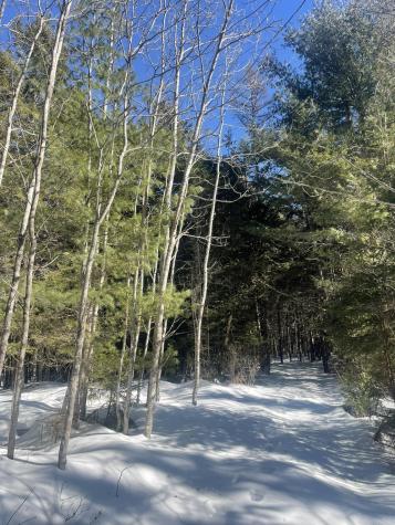 Lot 8 Forest Avenue Machias ME 04654