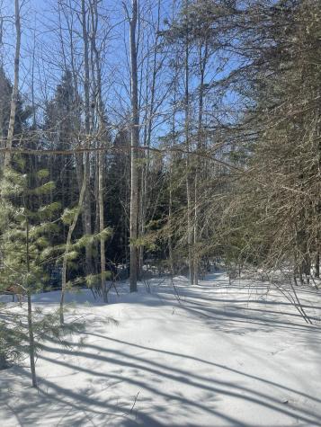Lot 8 Forest Avenue Machias ME 04654