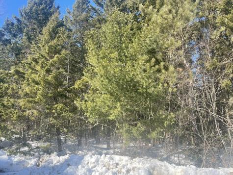Lot 8 Forest Avenue Machias ME 04654