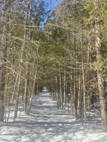 Lot 8 Forest Avenue Machias ME 04654