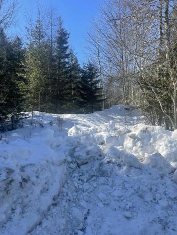 Lot 8 Forest Avenue Machias ME 04654