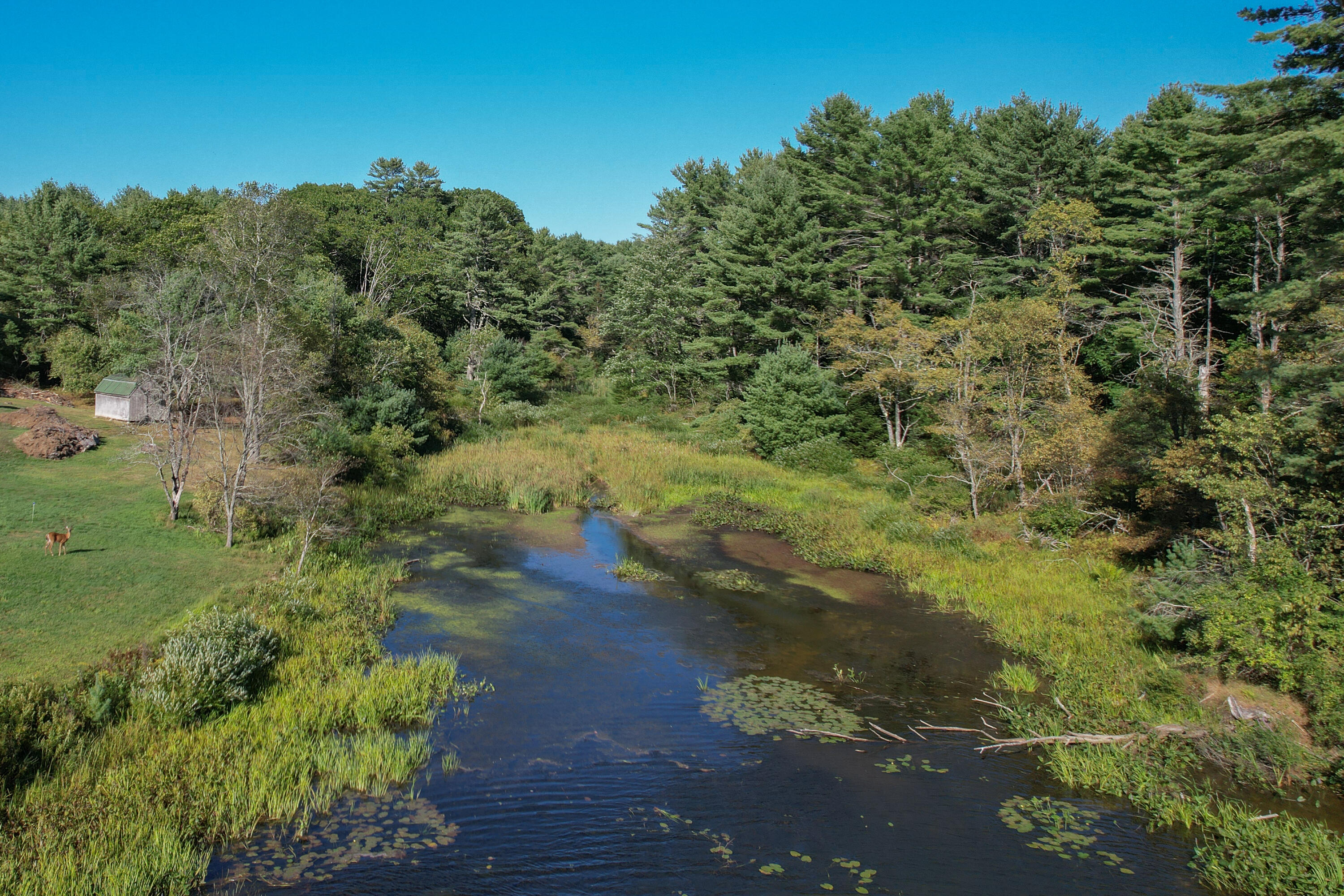 Lot #13-1 Shore Road Ellsworth ME 04605