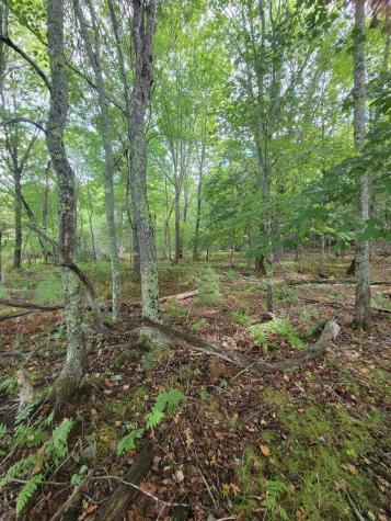 Lot #13-1 Shore Road Ellsworth ME 04605