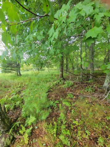 Lot #13-1 Shore Road Ellsworth ME 04605