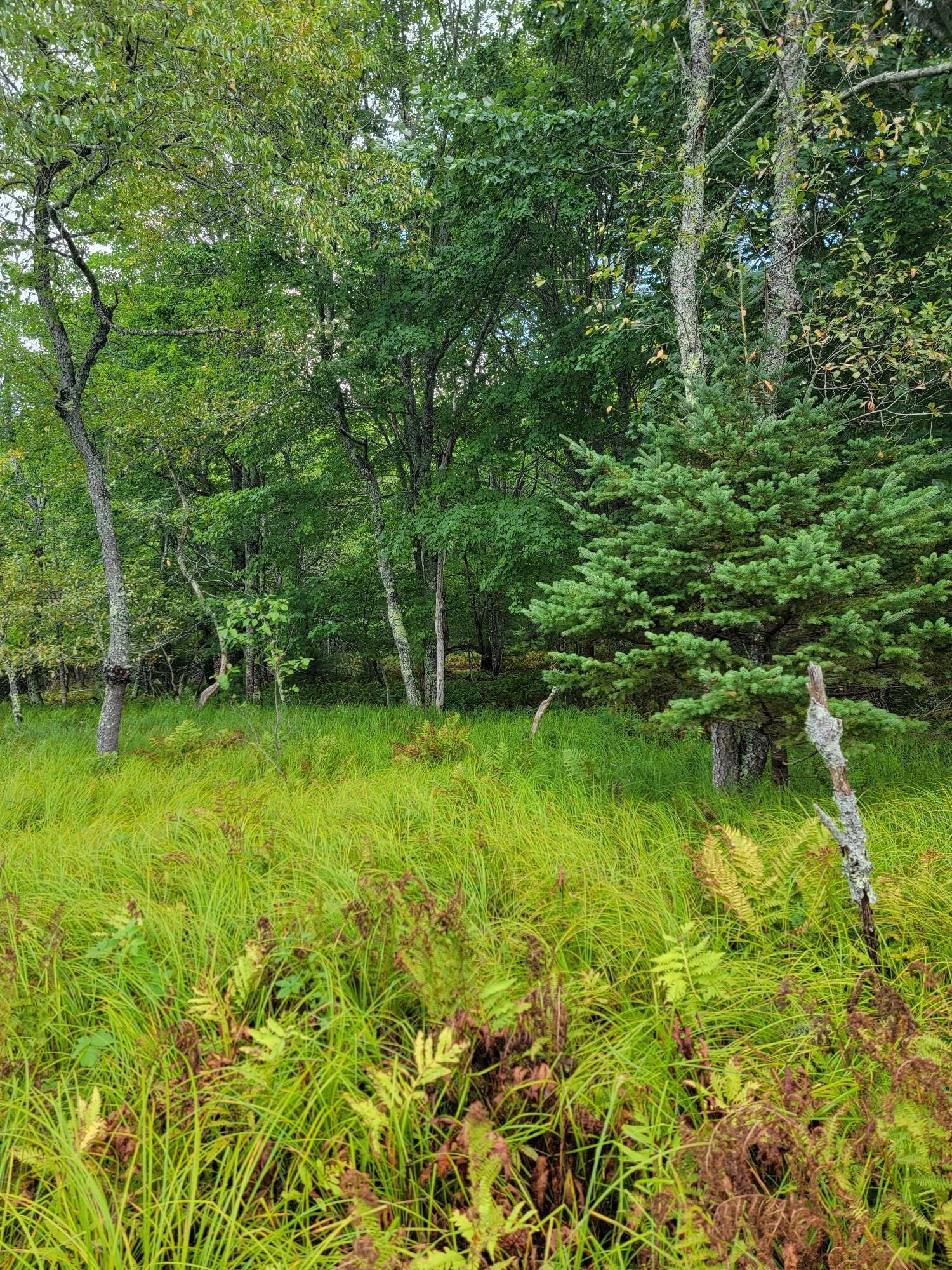 Lot #13-1 Shore Road Ellsworth ME 04605
