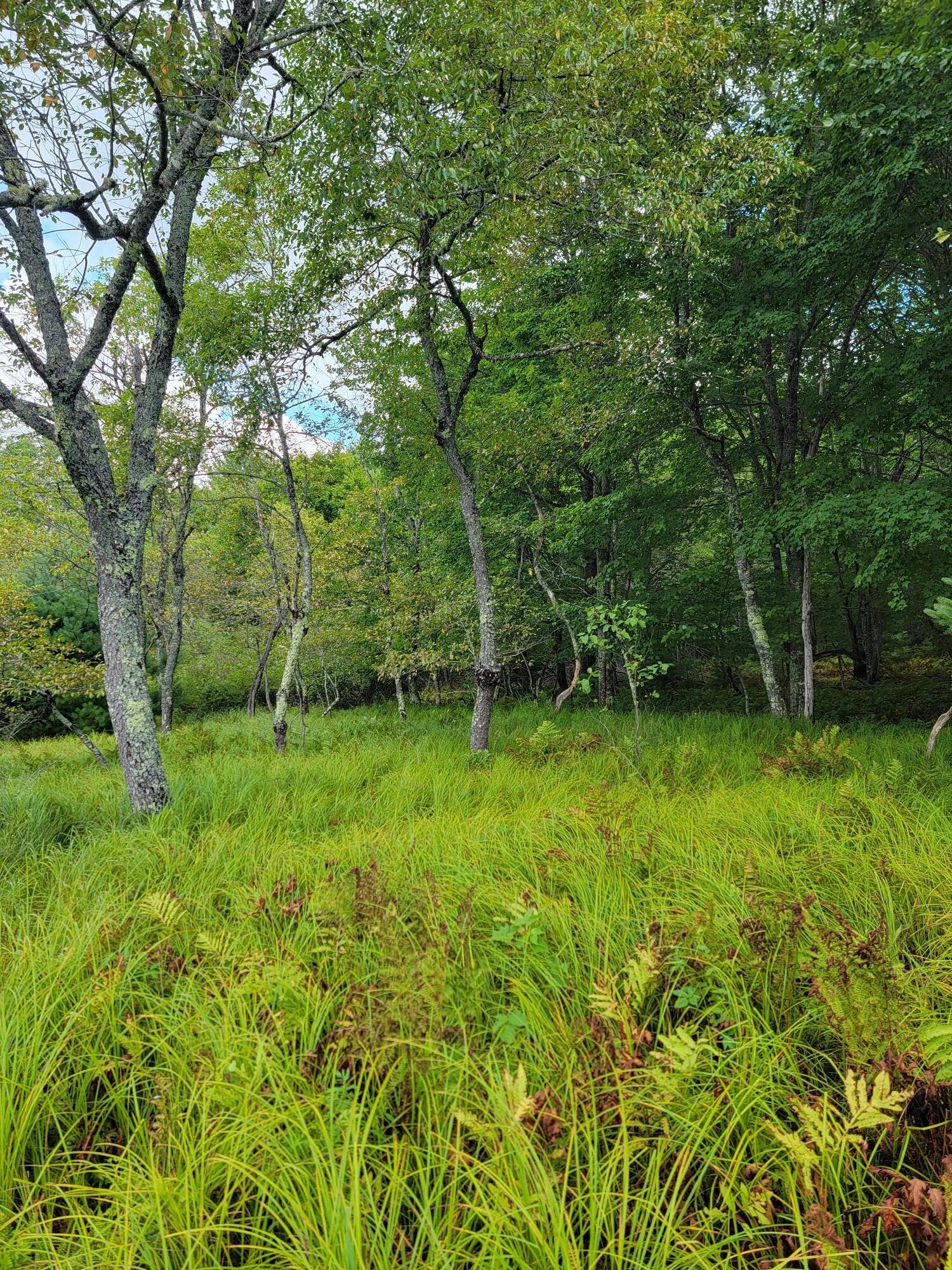 Lot #13-1 Shore Road Ellsworth ME 04605