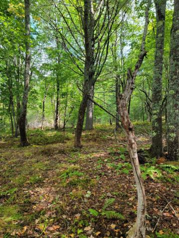 Lot #13-1 Shore Road Ellsworth ME 04605