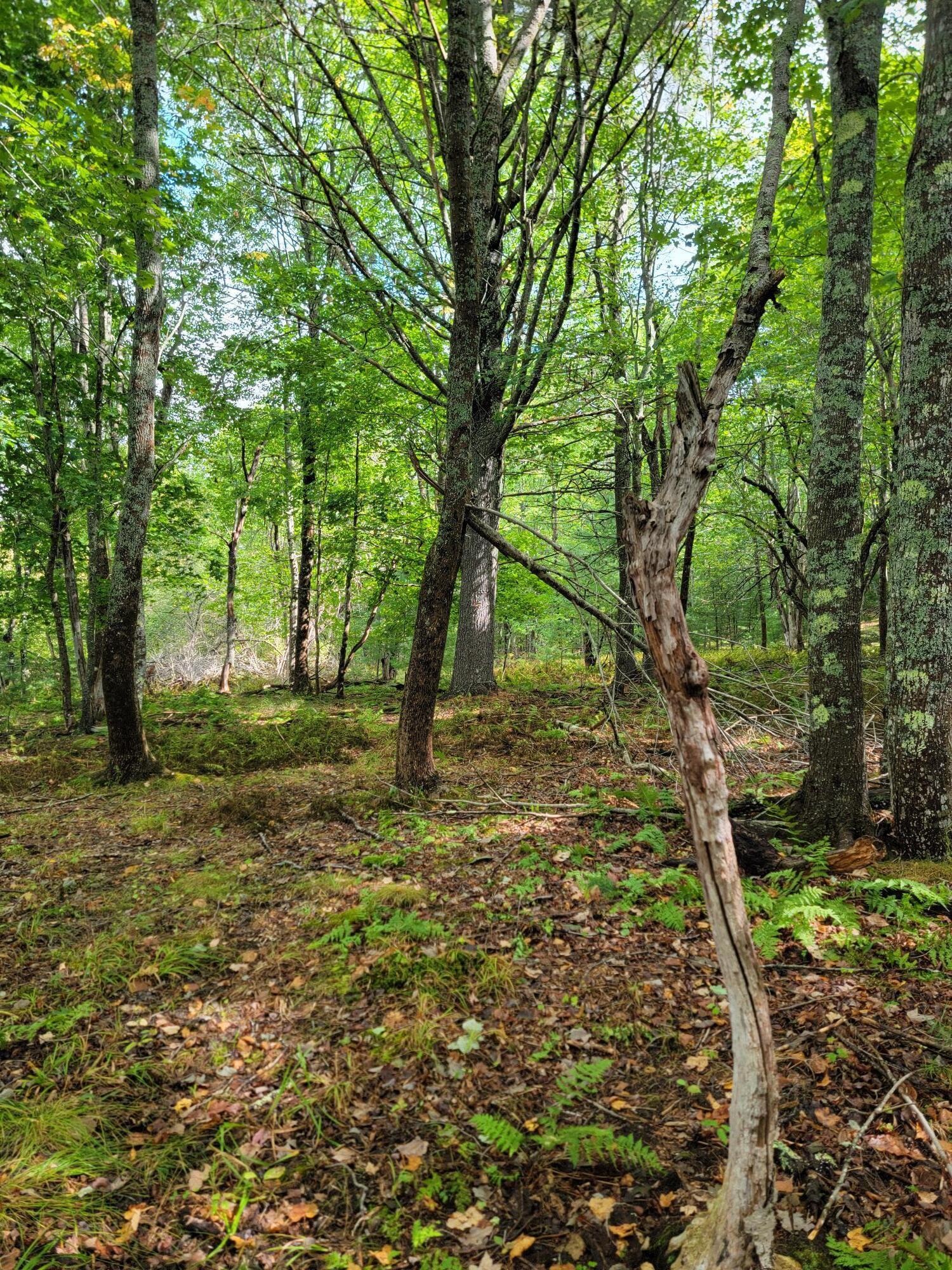 Lot #13-1 Shore Road Ellsworth ME 04605