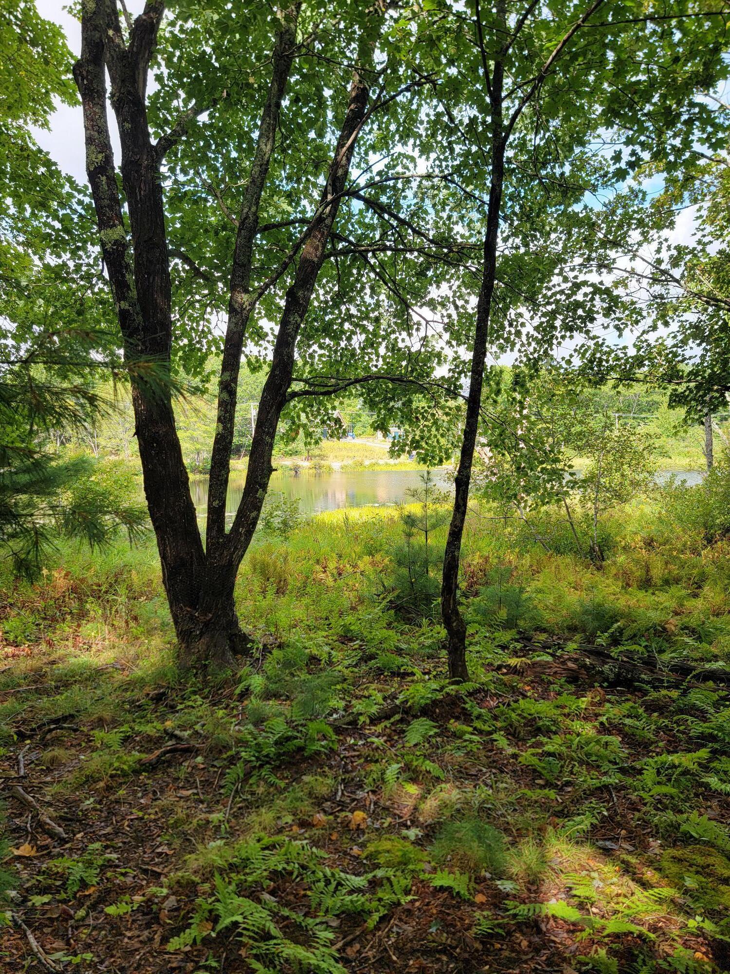 Lot #13-1 Shore Road Ellsworth ME 04605