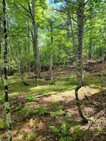 Lot #13-1 Shore Road Ellsworth ME 04605