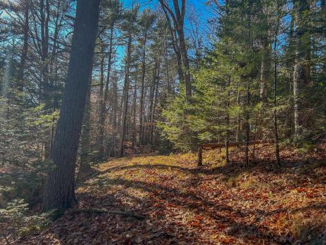 Lot #13-1 Shore Road Ellsworth ME 04605