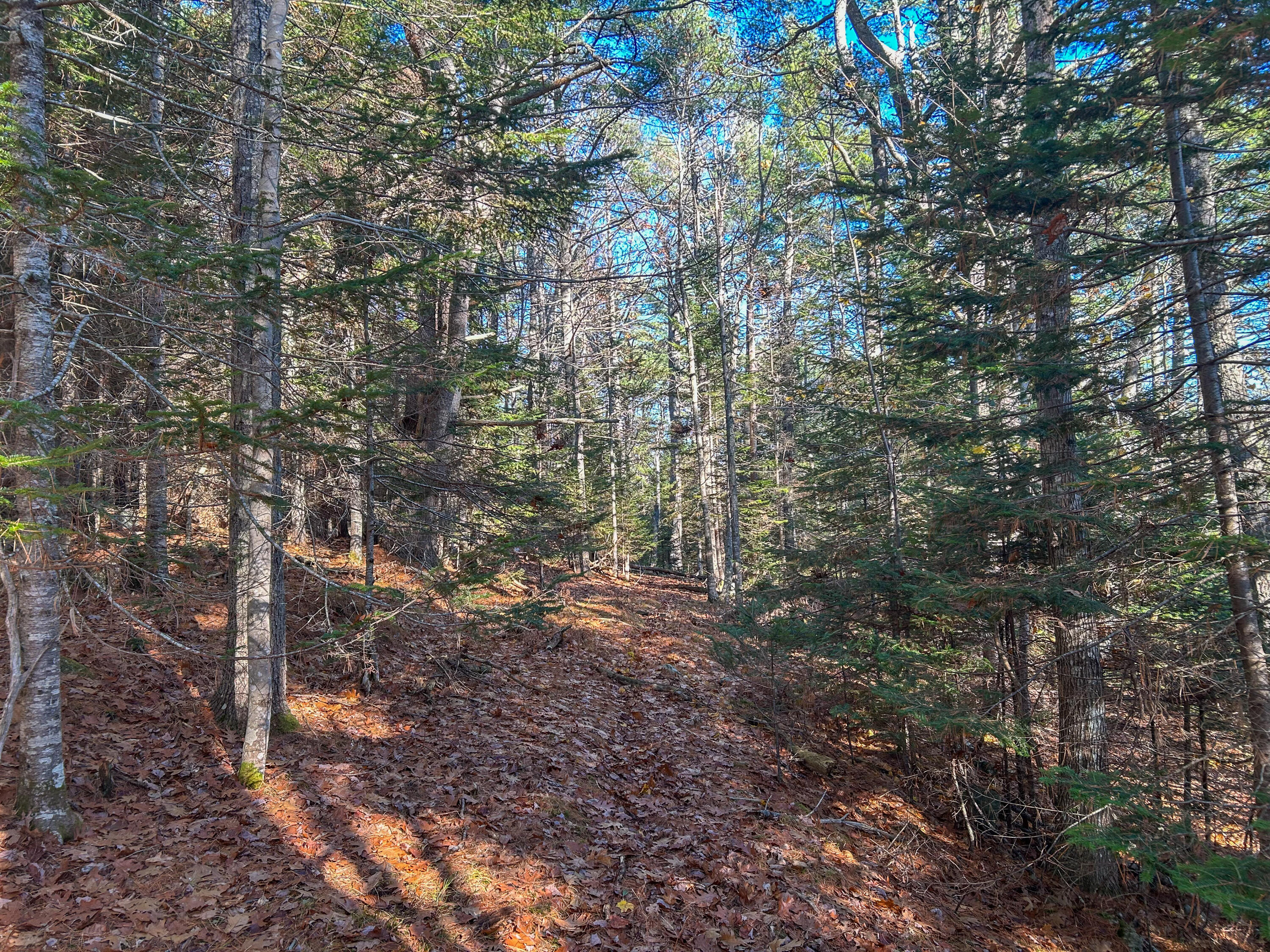 Lot #13-1 Shore Road Ellsworth ME 04605
