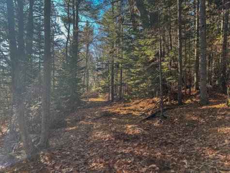 Lot #13-1 Shore Road Ellsworth ME 04605