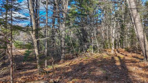 Lot #13-1 Shore Road Ellsworth ME 04605