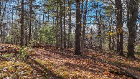 Lot #13-1 Shore Road Ellsworth ME 04605