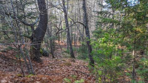 Lot #13-1 Shore Road Ellsworth ME 04605