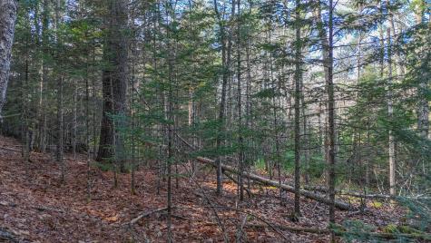Lot #13-1 Shore Road Ellsworth ME 04605