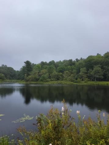 Lot #13-1 Shore Road Ellsworth ME 04605