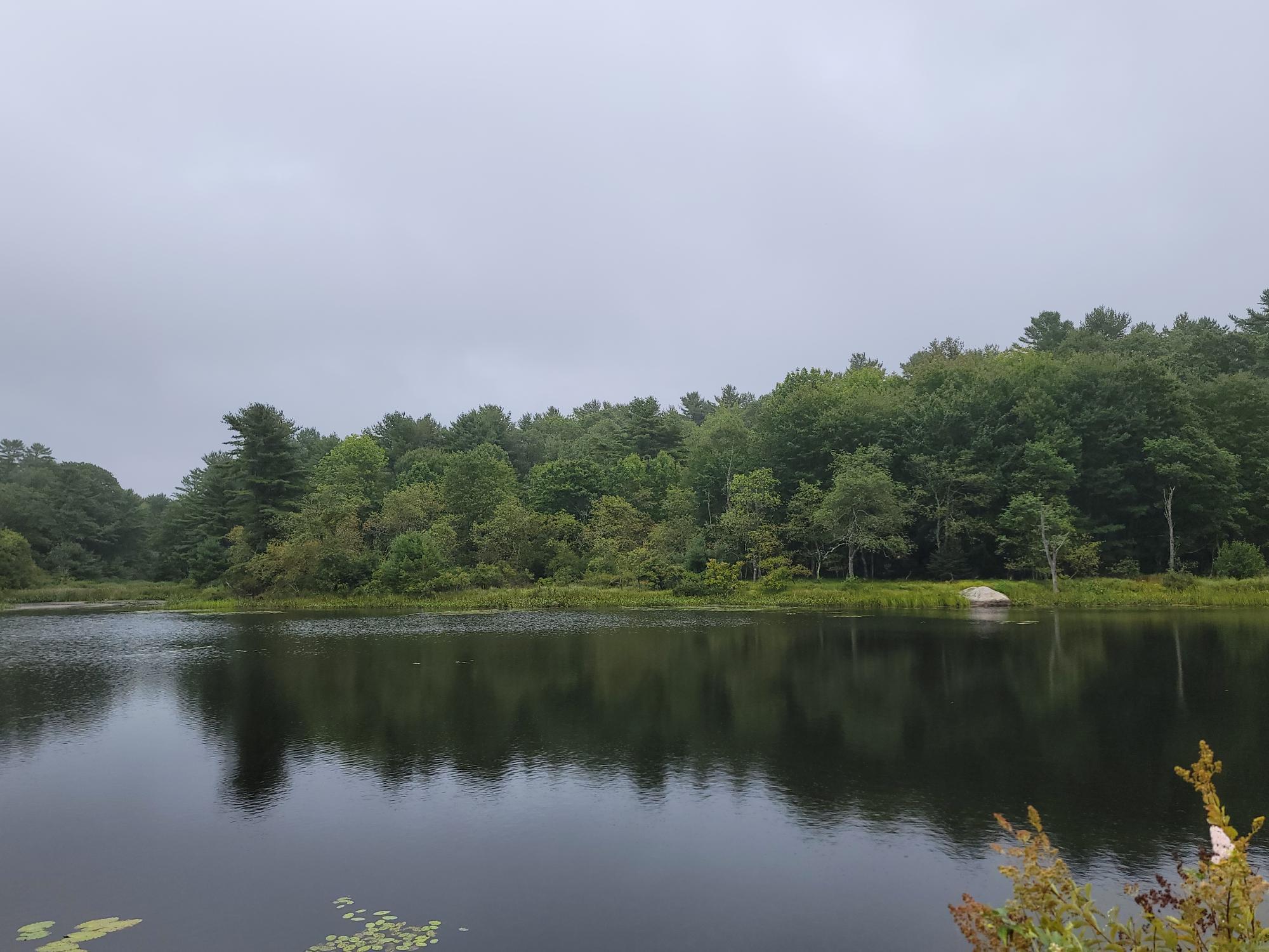 Lot #13-1 Shore Road Ellsworth ME 04605