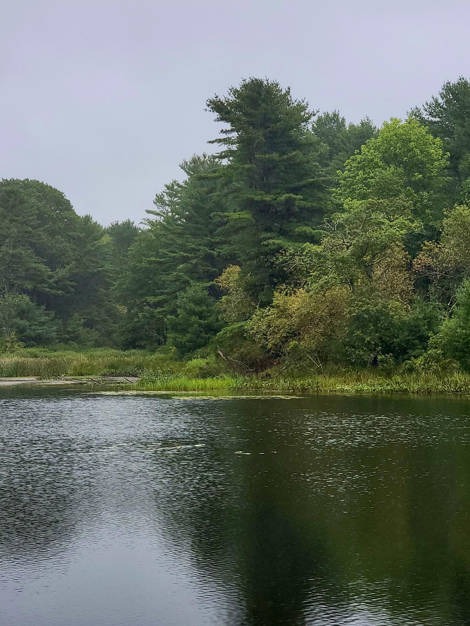 Lot #13-1 Shore Road Ellsworth ME 04605