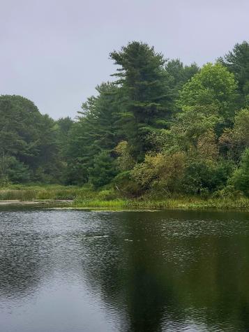 Lot #13-1 Shore Road Ellsworth ME 04605