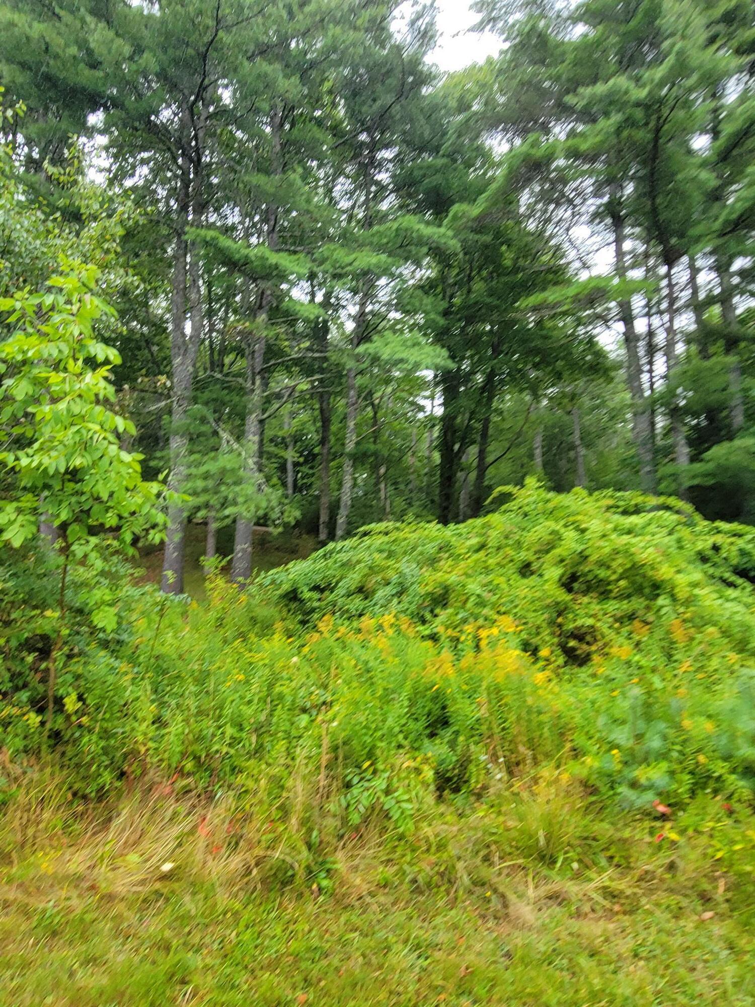 Lot #13-1 Shore Road Ellsworth ME 04605
