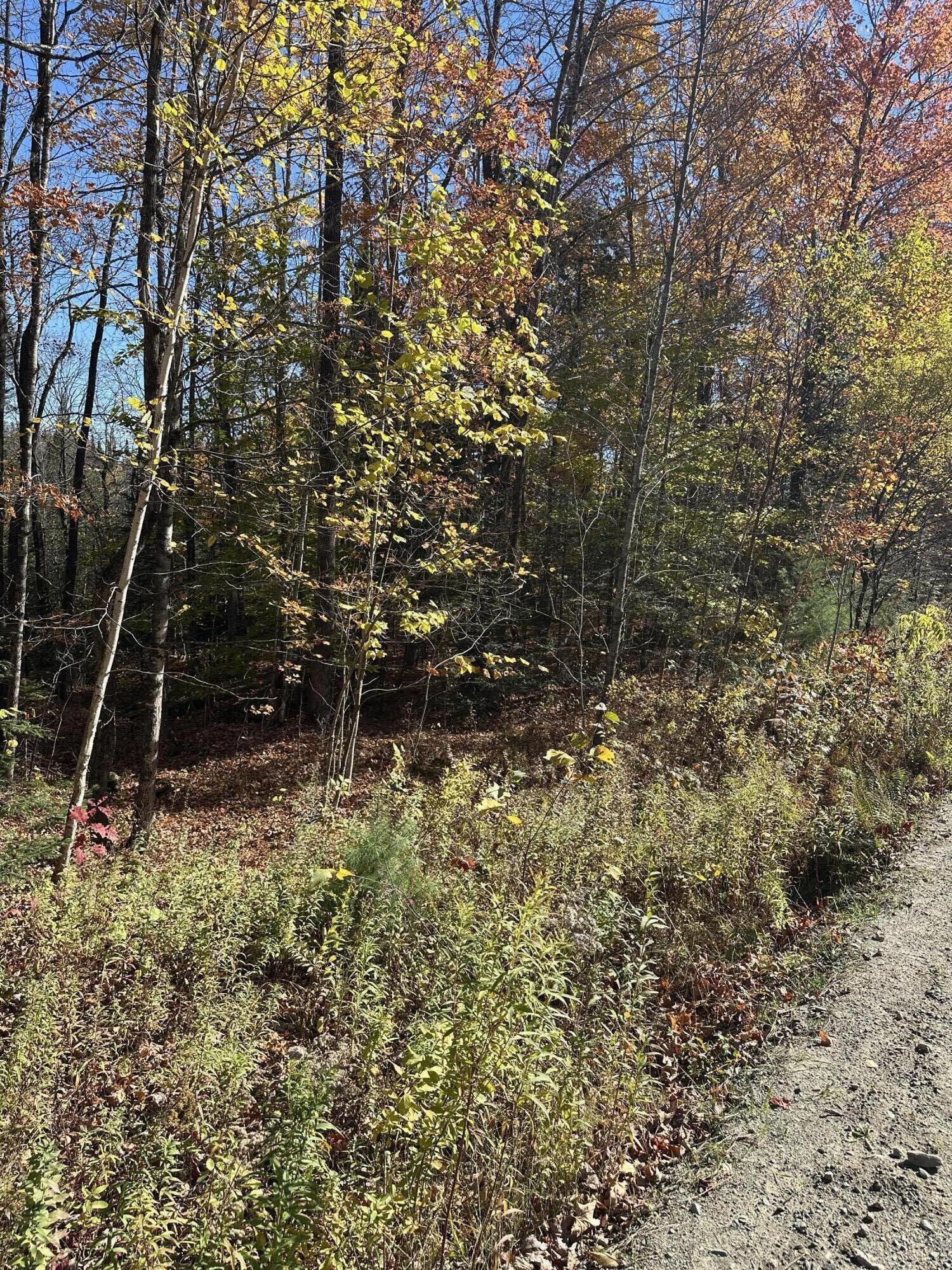 1.3 Mayhew Road Starks ME 04911