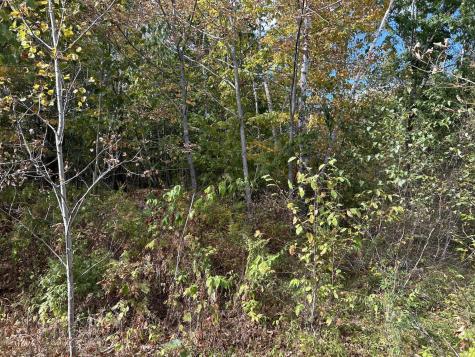 M5L28-5 Moosehead Trail Jackson ME 04921