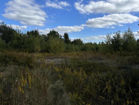 M5L28-5 Moosehead Trail Jackson ME 04921