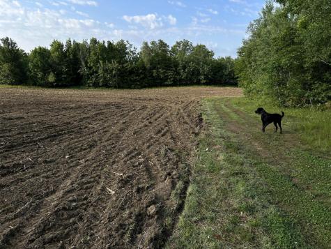 M5L28-5 Moosehead Trail Jackson ME 04921