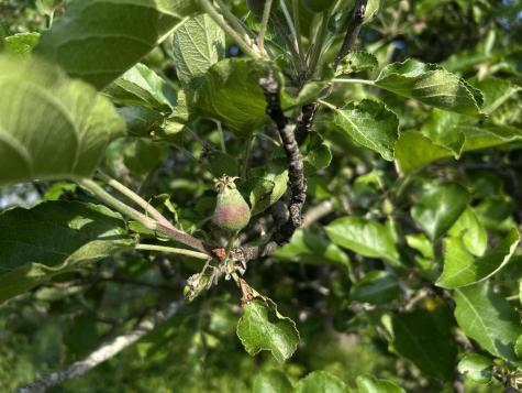 M5L28-5 Moosehead Trail Jackson ME 04921