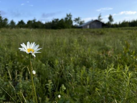 M5L28-5 Moosehead Trail Jackson ME 04921