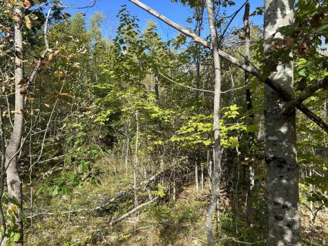 M5L28-5 Moosehead Trail Jackson ME 04921
