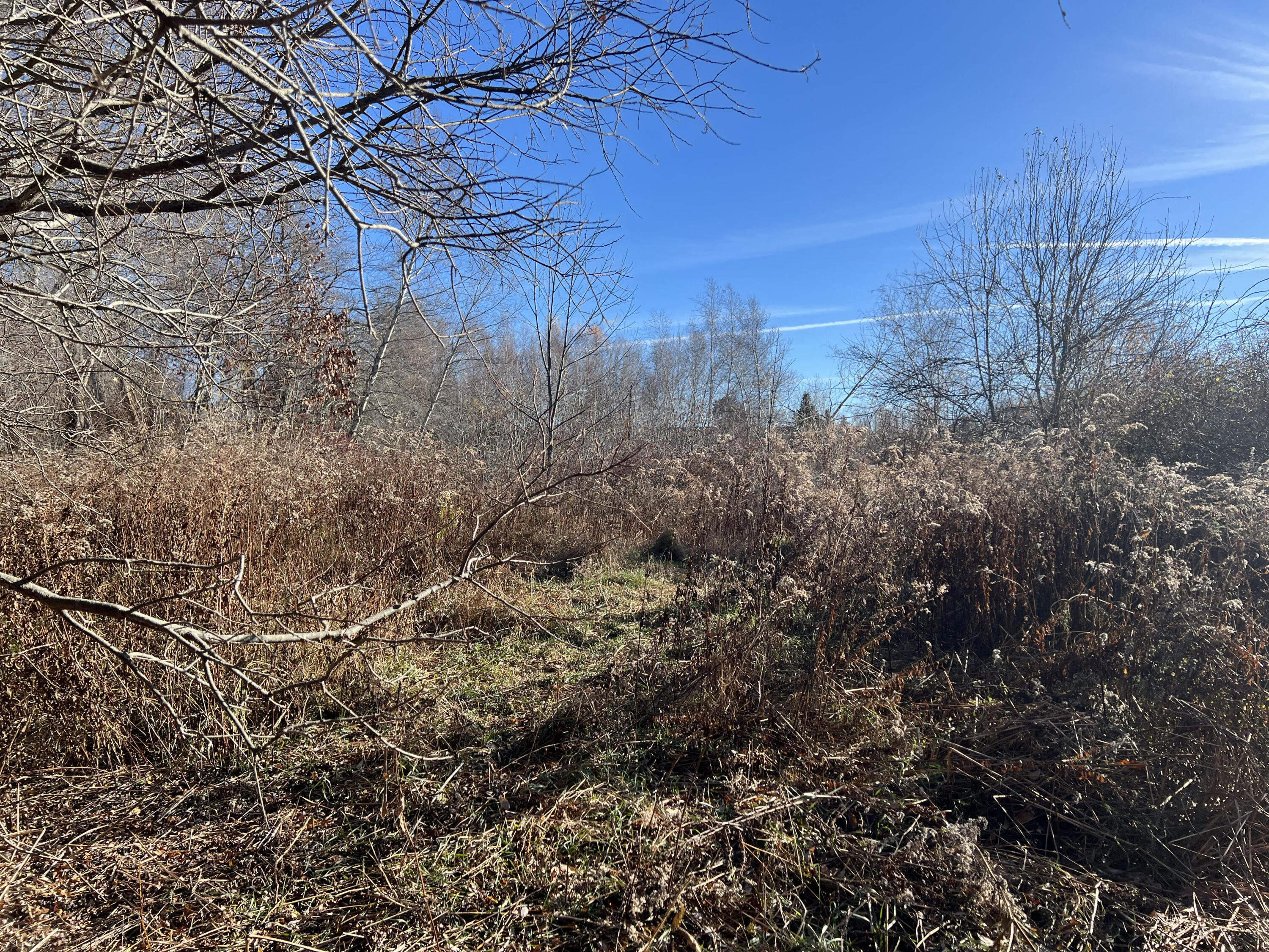 Lot #B Winding Way Rockport ME 04856