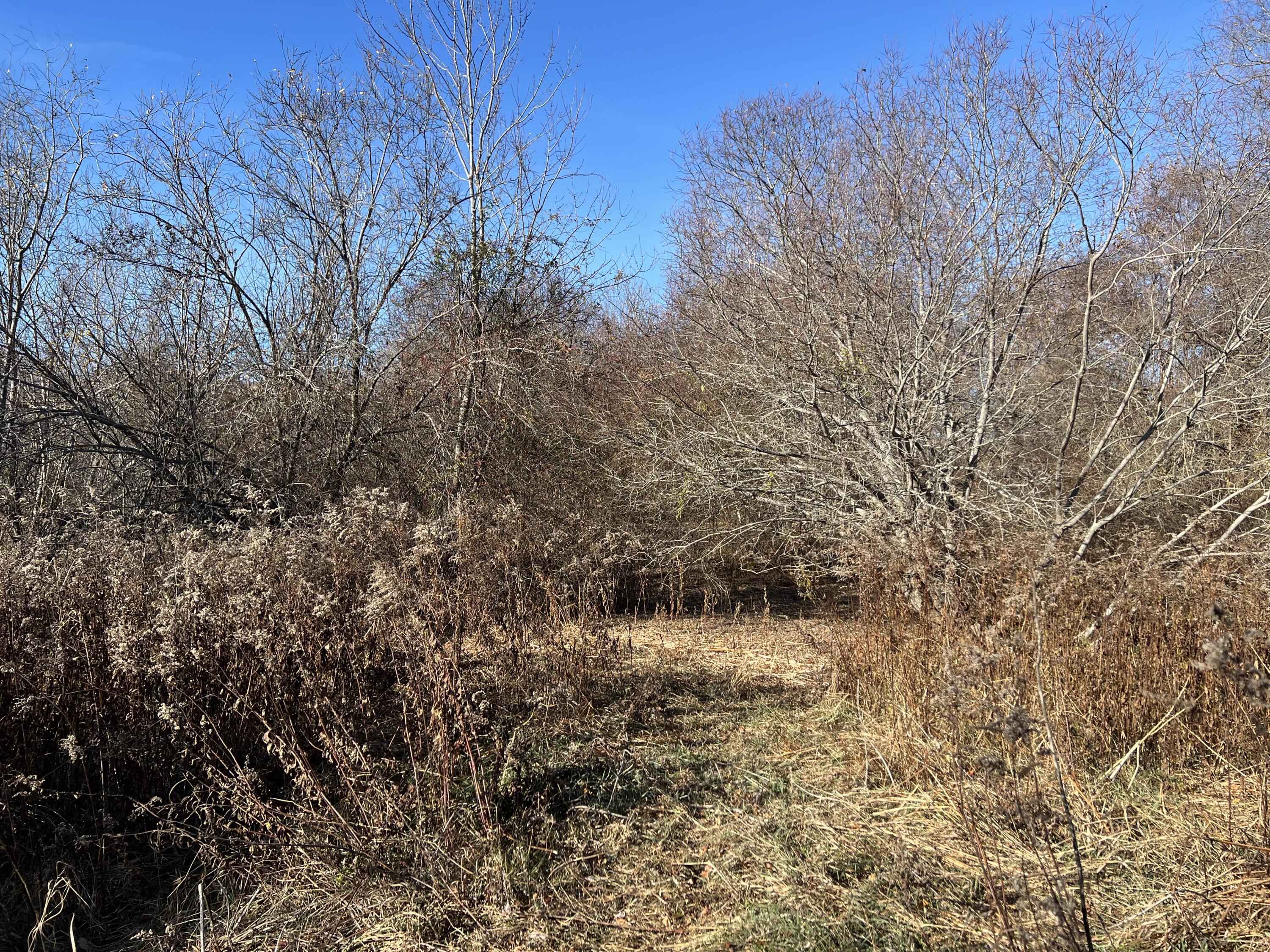 Lot #B Winding Way Rockport ME 04856