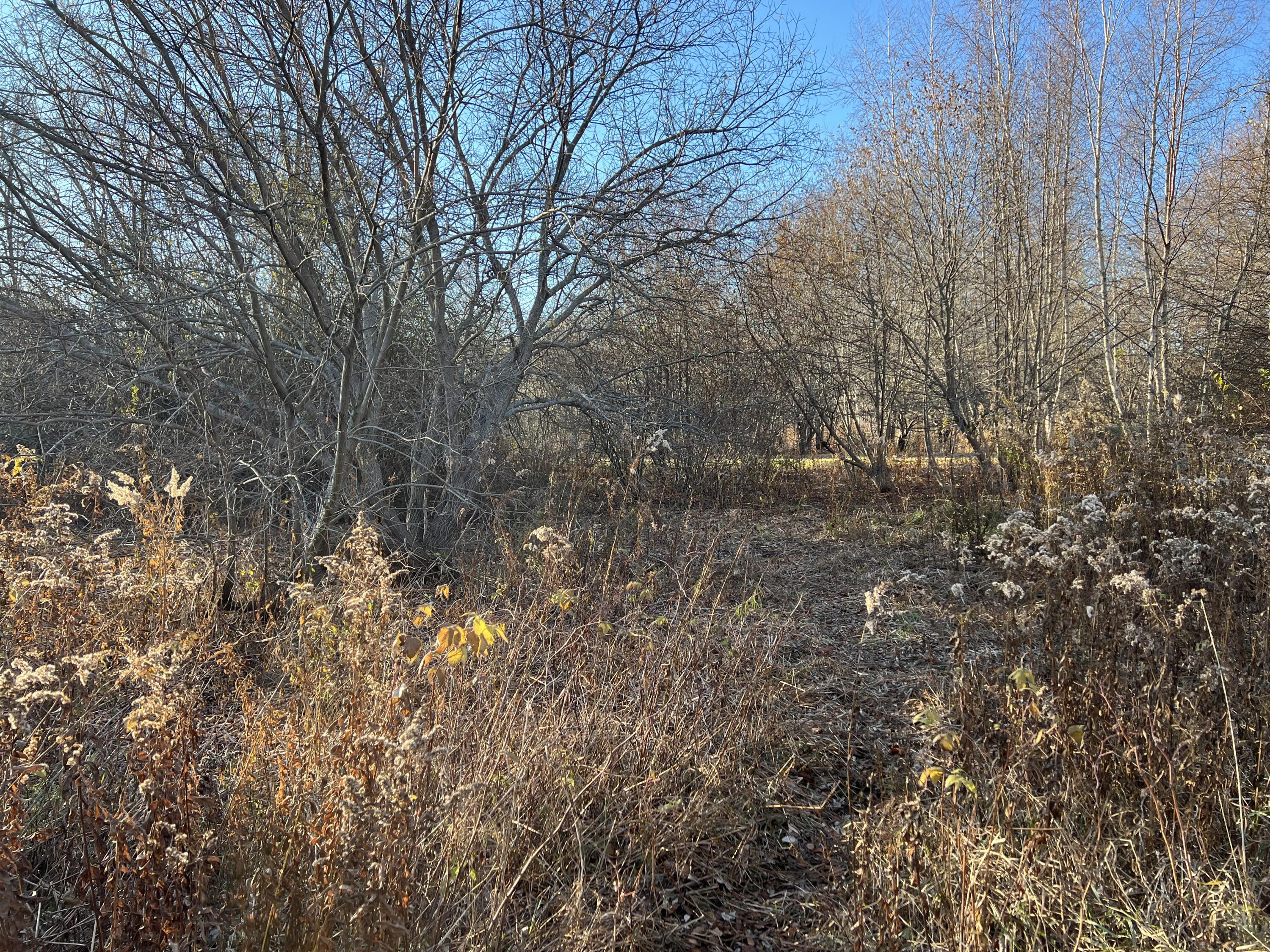 Lot #B Winding Way Rockport ME 04856