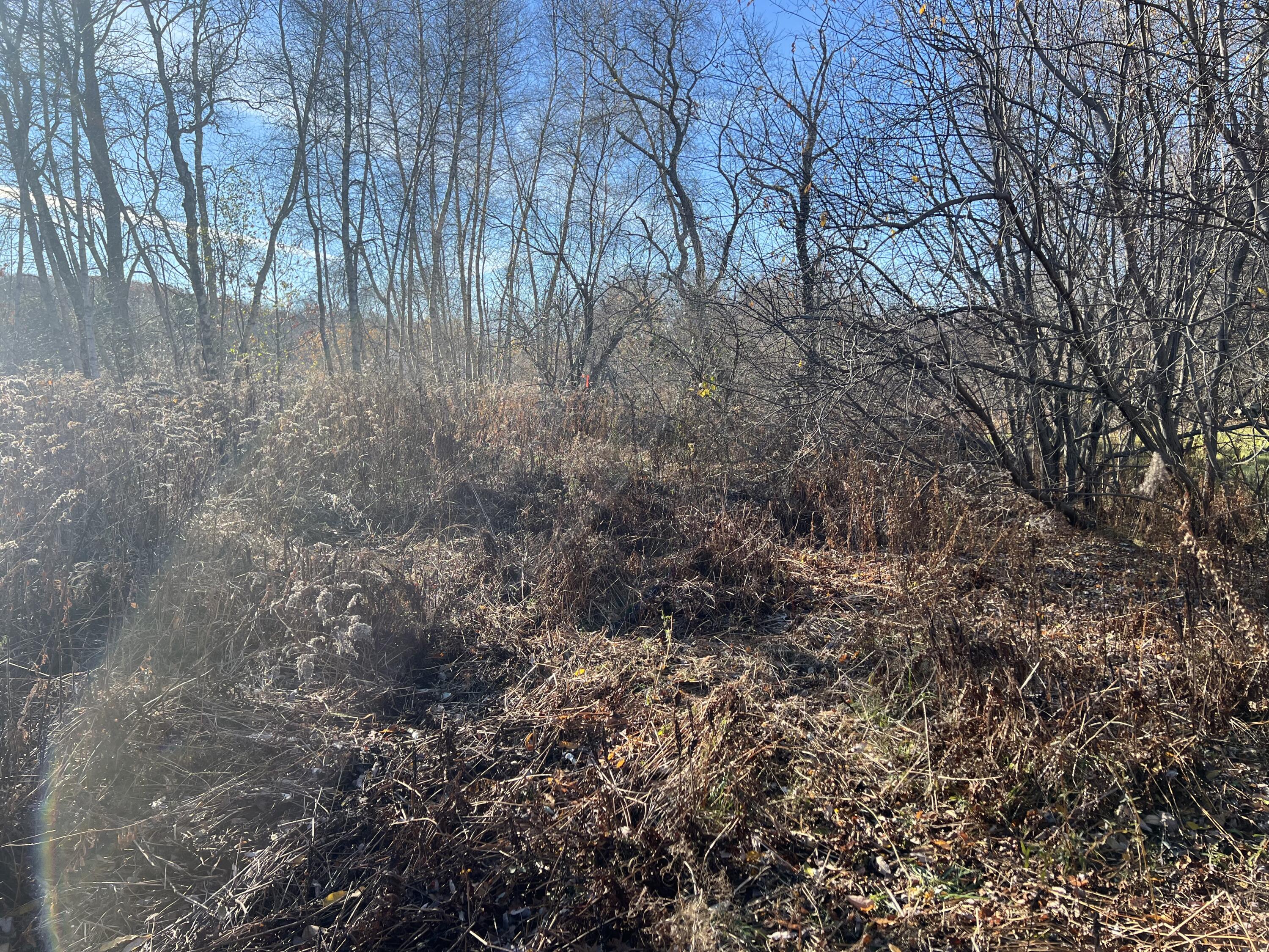 Lot #B Winding Way Rockport ME 04856