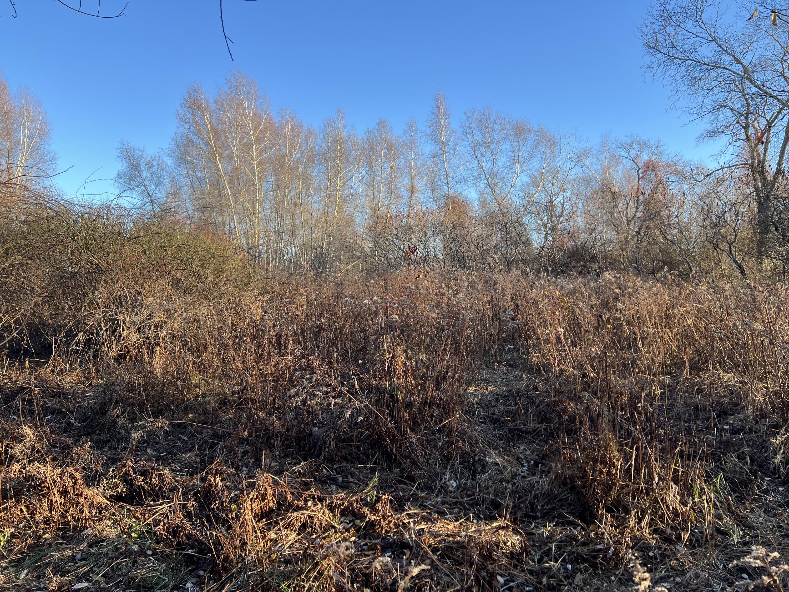 Lot #B Winding Way Rockport ME 04856